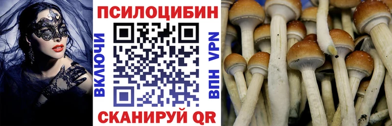 Псилоцибиновые грибы Cubensis  купить   Ковров 