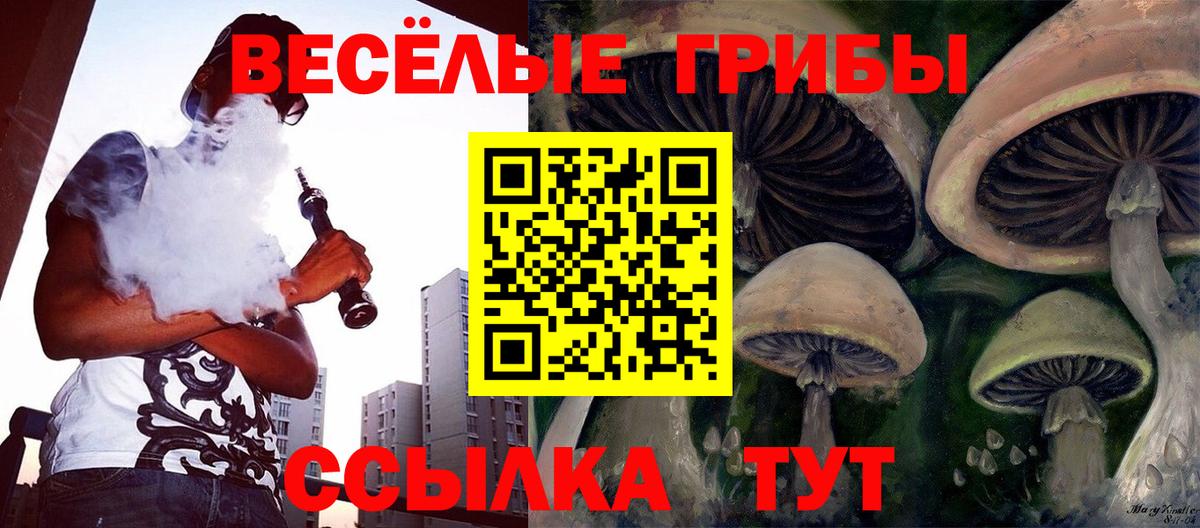 Галлюциногенные грибы мицелий Ковров