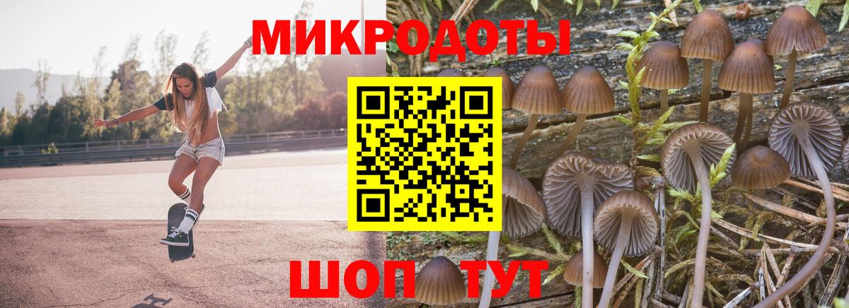 купить наркотики цена  Ковров  Псилоцибиновые грибы Psilocybe 