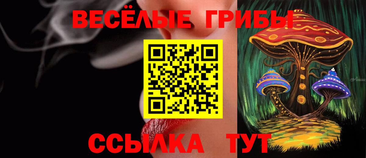 Галлюциногенные грибы Magic Shrooms  Вход с VPN  Ковров 